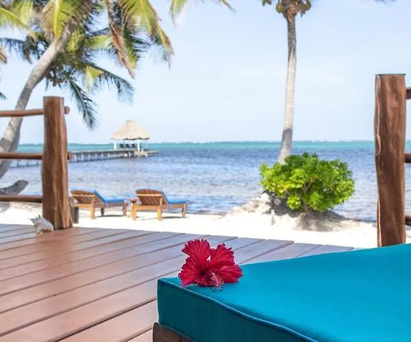 Villa La Perla Del Caribe - Emerald San Pedro (Ambergris Caye)