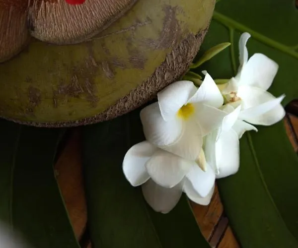 Villa La Perla Del Caribe - Emerald